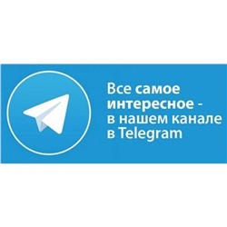Наша группа в телеграмм
