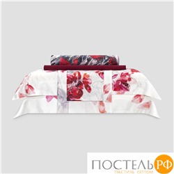 Togas МИДАРИЯ к-т наволочек 50x70-2пр