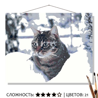 «КОТ В СУГРОБЕ»