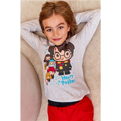 Детская пижама с брюками Juno AW21BJ627 Гарри Поттер красный/серый меланж НАТАЛИ #899160