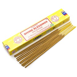 SATYA Divine Blessings Incense Благовоние 15г