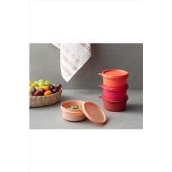 English Home Lock Me Mini Plastik 4'lü Saklama Kabı 250 Ml Kırmızı 239649