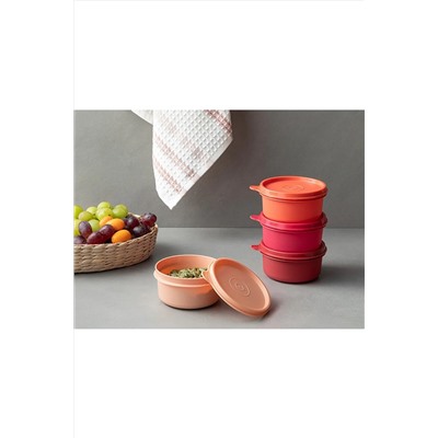 English Home Lock Me Mini Plastik 4'lü Saklama Kabı 250 Ml Kırmızı 239649