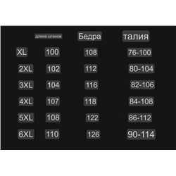 Мужские штаны Arc’tery*x