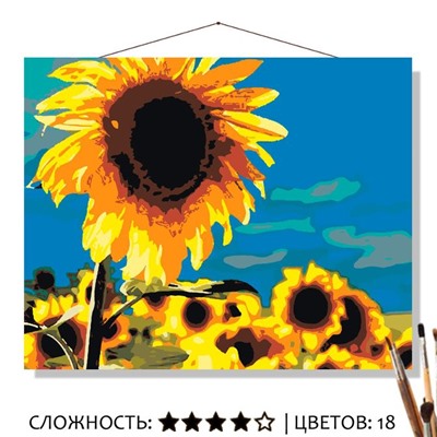 «ПОЛЕ ЗОЛОТЫХ ЦВЕТОВ»