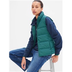 ColdControl Puffer Vest