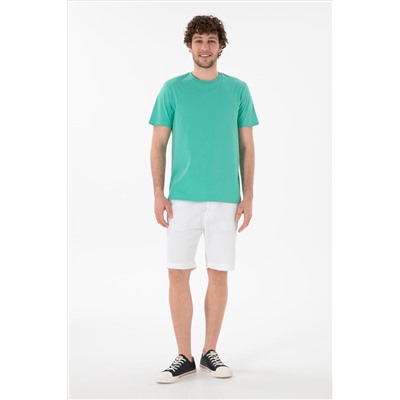 Erkek Regular Fit Bisiklet Yaka Mint Basic Tişört