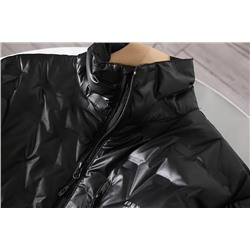 Мужская демисезонная куртка Mauntai*n