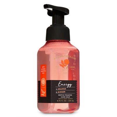 Aromatherapy ORANGE GINGER Gentle Foaming Hand Soap