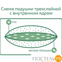 ЖН-П-3-2 Подушка "Женское начало" 50х68 средняя, 0,75 кг (вес наполнителя)