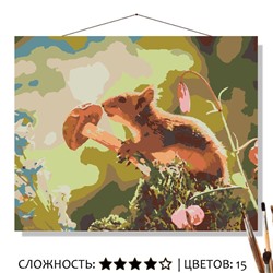 «БЕЛОЧКА»