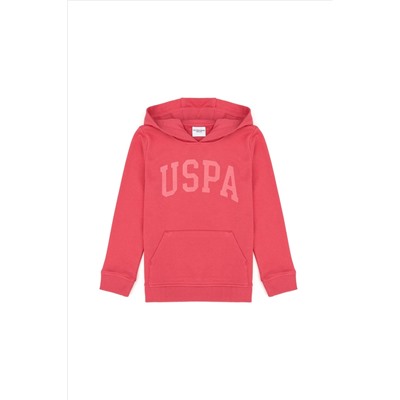 Kız Çocuk Pembe Basic Kapüşonlu Sweatshirt