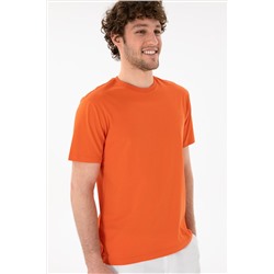 Erkek Regular Fit Bisiklet Yaka Nar Çiçeği Basic Tişört