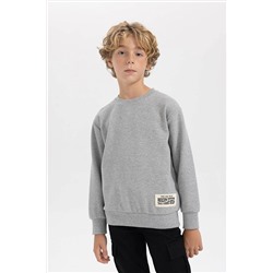 Defacto Erkek Çocuk Regular Fit Bisiklet Yaka Sweatshirt B3897A823WN