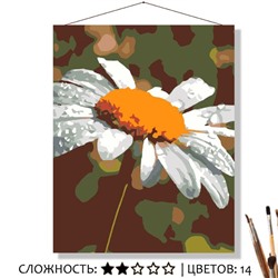 «РОМАШКА»
