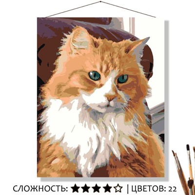 «БОЦМАН»