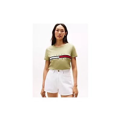 Embroidered Flag Stripe Logo T-Shirt