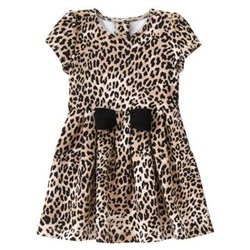 Leopard Print Dress