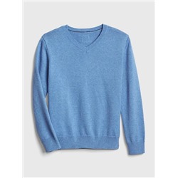 Kids Uniform V-Neck Sweater