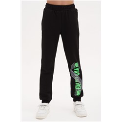 Брюки Wild Green НАТАЛИ #874623