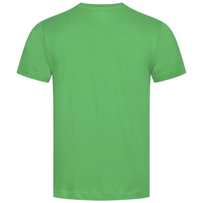 HULK Lift MARVEL Herren T-Shirt FBMTS307GRN