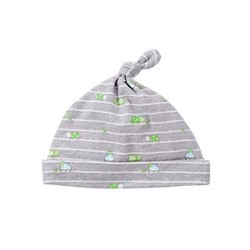 Turtles Beanie