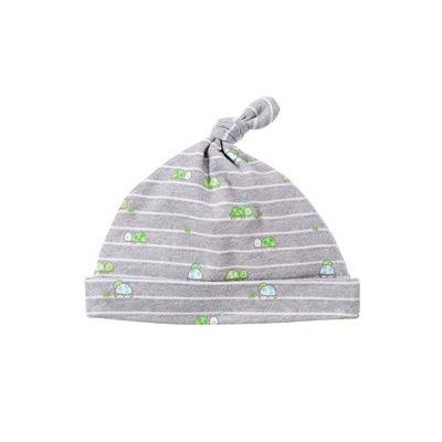 Turtles Beanie