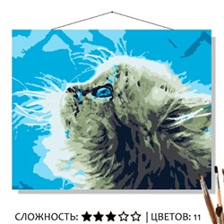 «КОТЁНОЧЕК»