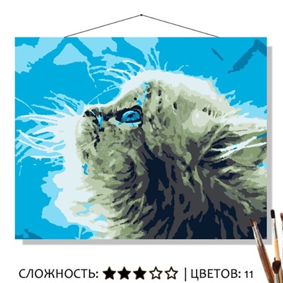 «КОТЁНОЧЕК»