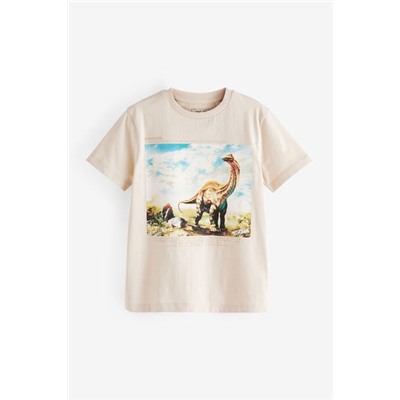 Grafik-T-Shirt (3-16yrs)