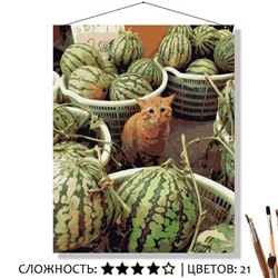«КОТИК С АРБУЗАМИ»