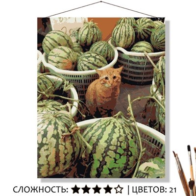 «КОТИК С АРБУЗАМИ»