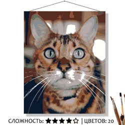 «ФИЛЬКА»