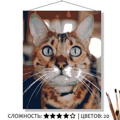«ФИЛЬКА»