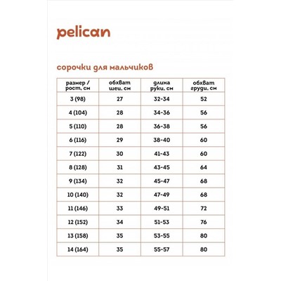 Рубашка PELICAN, 889907