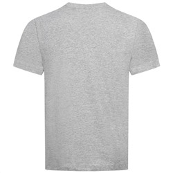 GUINNESS Emblem Herren T-Shirt 2er-Pack POMPK220MUL