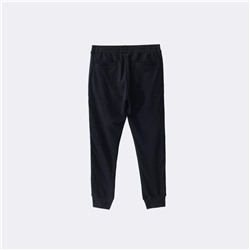 Мужские утепленные спортивные штаны с лампасами и завязками EMPORIO ARMAN*I