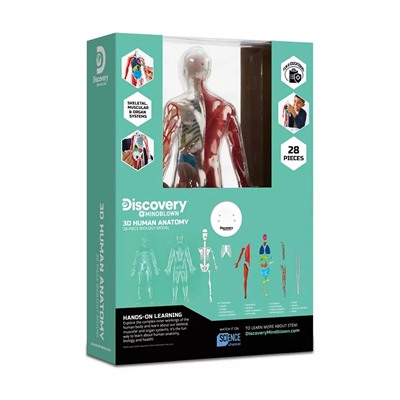 Discovery #MINDBLOWN CLOSEOUT! 3D Human Anatomy 28-Piece Biology Model