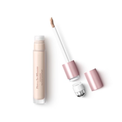 days in bloom hide&shine all-over concealer