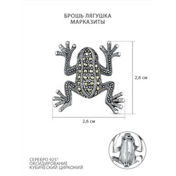 Брошь из чернёного серебра с кубическим цирконием и марказитами - Лягушка GABR639
