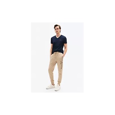 Slim Fit V-Neck T-Shirt