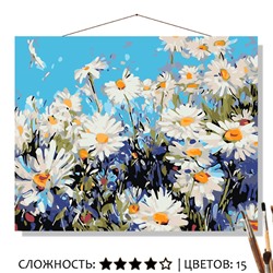 «ПОЛЕ РОМАШЕК»