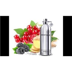 MONTALE GINGER MUSK edp 2ml пробник