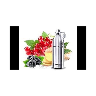 MONTALE GINGER MUSK edp 2ml пробник