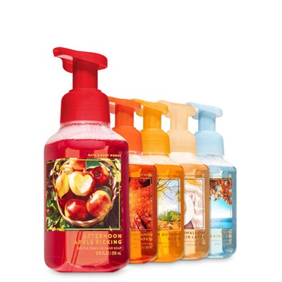 FALL TRADITIONS Gentle Foaming Hand Soap, 5-Pack