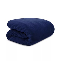 Lauren Ralph Lauren Micromink Plush Blanket, Twin
