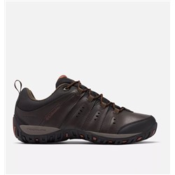 Men's Woodburn™ II Waterproof Shoe