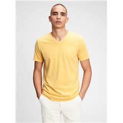Classic V-Neck T-Shirt