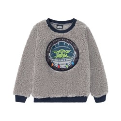 Kleinkinder Jungen Pullover Teddyfleece, mit Applikation