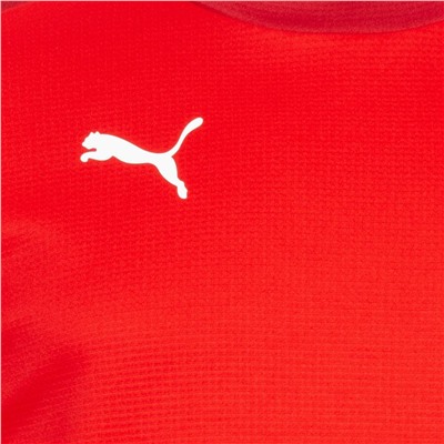 PUMA teamGOAL Training Sweat Herren Pullover 656478-01
